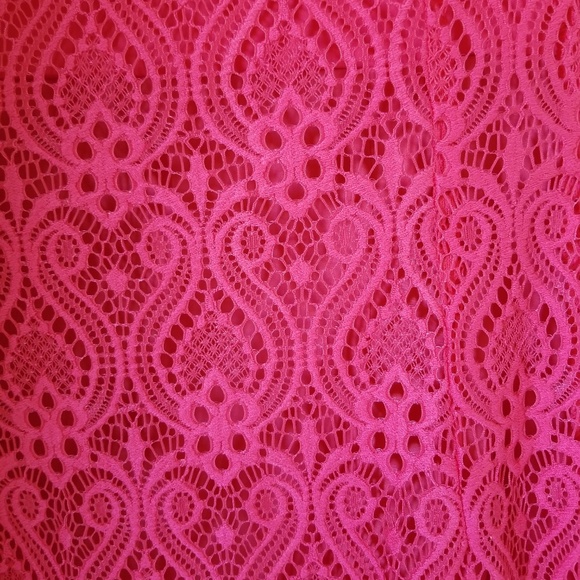 Eva Mendes Embroidered Lace Hot Pink A-Line Dress Sz 10 - Picture 4 of 10